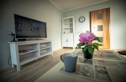 Kalisz Apartamento | JDK Apartamenty Podmiejska 38m2 5-osobowy