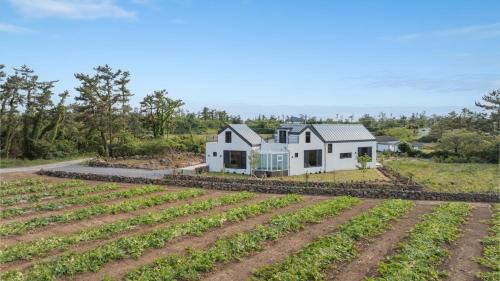 Hallim Casa | Jeju moridarakbang pension