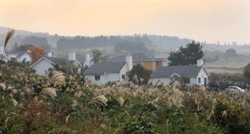 Nohyeong-dong Casa | Jeju Skyline Pension