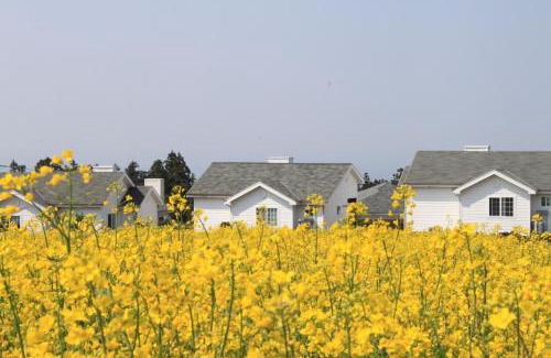 Nohyeong-dong Casa | Jeju Skyline Pension