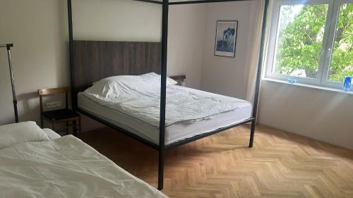 Jelenec Apartamento | Jelenec House
