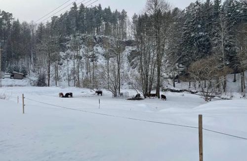 Decin Complejo | Jeskyně Jánská