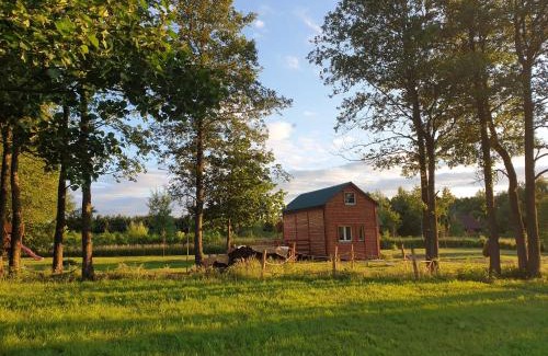 Uscimow Casa | JEZIORAKI Uroczy domek i sauna 400m od jeziora Nowa Jedlanka