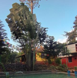 Jhargram Casa | Jhargram Jhumur Camp Homestay