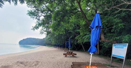 Jincheon Otro | Jincheon Daol Camp Site