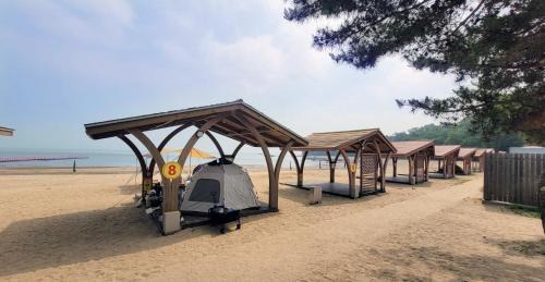 Jincheon Otro | Jincheon Daol Camp Site