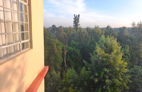 Nanyuki Apartamento | Jingles