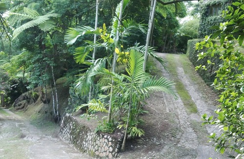 Mount James Casa | Retiro de Lejartre, una villa de vacaciones en las montañas Blue & John Crow, Jamaica