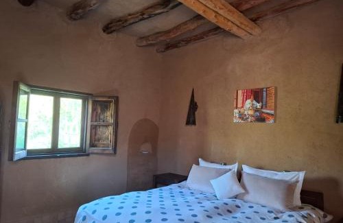 Tamaloukt Casa | JNANE ZOHRA
