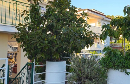 Qender Apartamento | Joen Apartments
