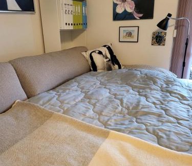 Faaborg Apartamento | Johanna's have