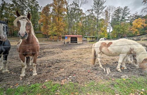 Huntingdon Apartamento | John Wayne Apartment - Deck, BBQ, Horses On-Site