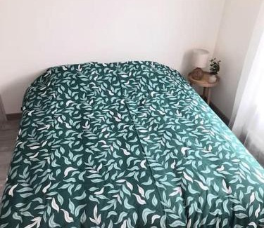 Saint-Jean-le-Blanc Apartamento | Joli appartement Proche Orléans