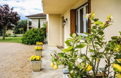 Gaillac Apartamento | JOLI APPARTEMENT - PISCINE - 68m2 - GAILLAC