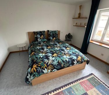 Saales Apartamento | Joli appartement situé à saales