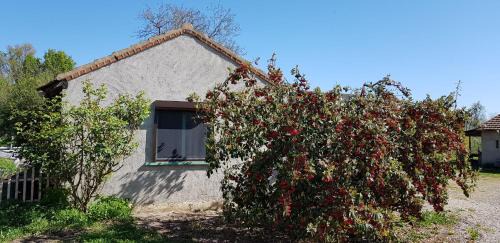 Saint-Germain-du-Bois Casa | Joli studio à la ferme avec patio couvert
