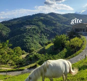Lentilleres Casa | Jolie maison avec vue, dans bâtisse cévenole
