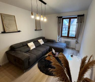Soultz-Haut-Rhin Apartamento | Jolie T2, 55 m, centre ville soultz