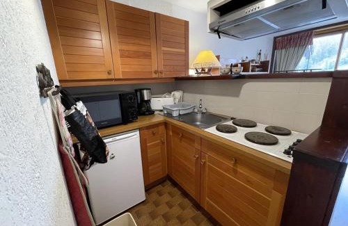 Laveissiere Apartamento | joliment décoré, situé en coeur station, exposé sud - FR-1-787-132