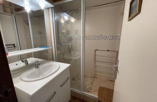 Laveissiere Apartamento | joliment décoré, situé en coeur station, exposé sud - FR-1-787-132