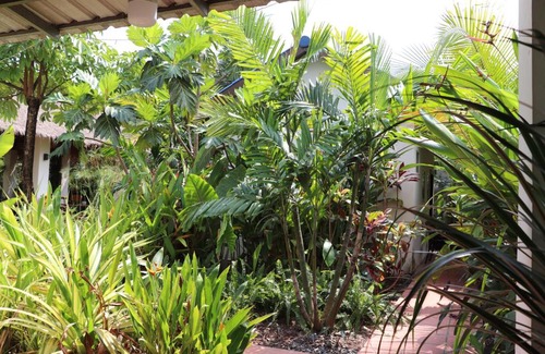 Kampot Casa | Jonny Ocean Farm boutique