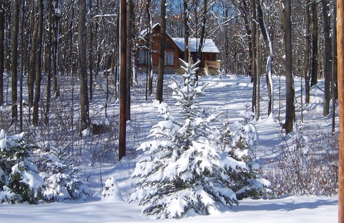 Rockwood Cabina | Jordan's Brook - ¡Casi el cielo! 4 millas de Seven Springs