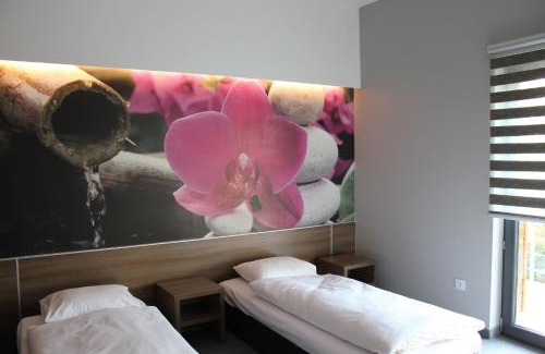 Wodzislaw Slaski Apartamento | Jordaszka