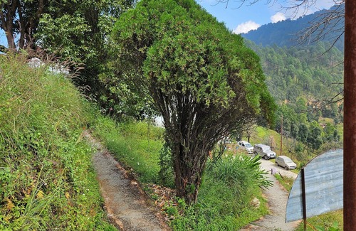 Digoti Casa | Joshi Guest House