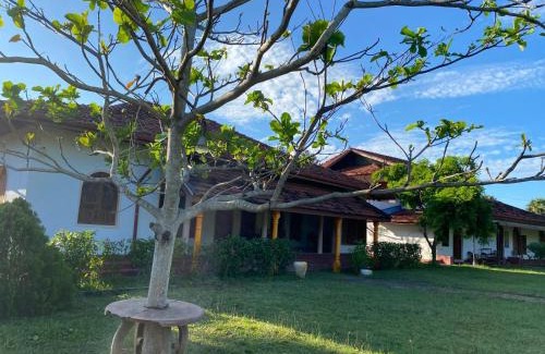 Pasikuda Cama Y Desayuno | Joytinat Yoga Ayurveda Villa