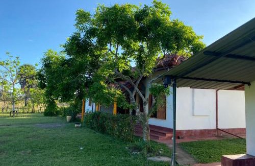 Pasikuda Cama Y Desayuno | Joytinat Yoga Ayurveda Villa