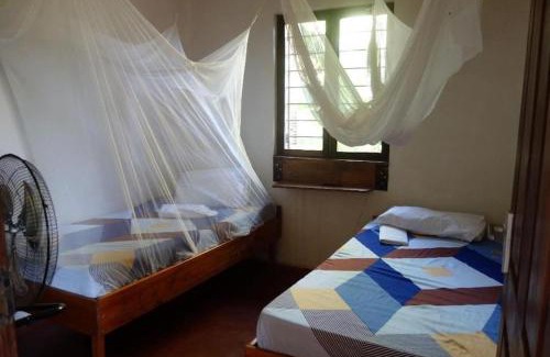 Pangani Casa | Juani Pangani
