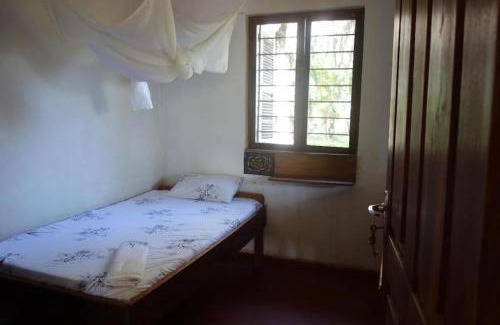 Pangani Casa | Juani Pangani