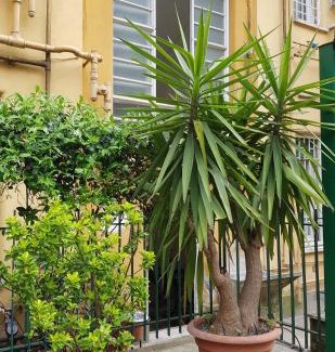 Vatican Apartamento | Jubilee 3 Luxury apartment in Rome Vatican