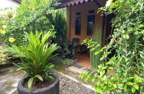 Banyuwangi Casa | Juda Homestay