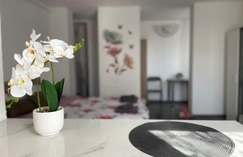 Zalau Apartamento | Julia Apartament