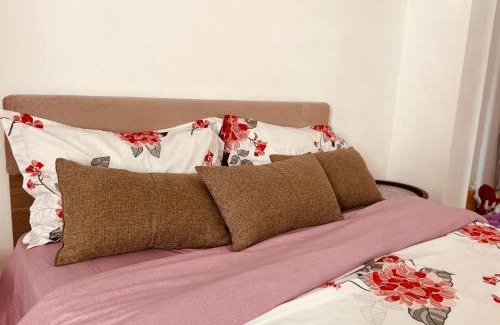 Zalau Apartamento | Julia Apartament