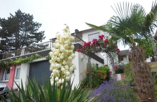 Traben-Trarbach Apartamento | Julia's Mosel Villa Appartement NICOLAS