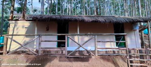 Vattavada Otro | Jumanji the Jungle Home