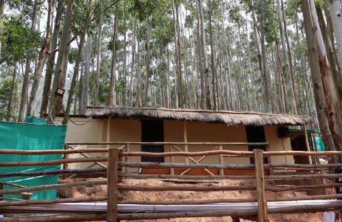 Vattavada Otro | Jumanji the Jungle Home