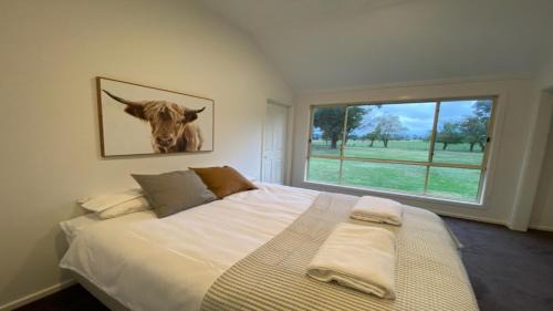 Mansfield Casa | Jumbuck Cottage