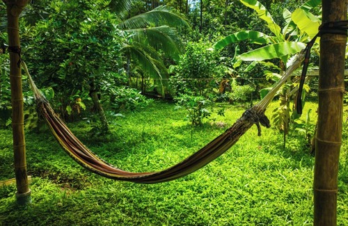 Cocles Apartamento | Jungle house,casa en la selva a 800mt del mar ideal para relajarse y descansar