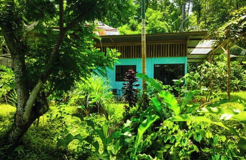 Cocles Apartamento | Jungle house,casa en la selva a 800mt del mar ideal para relajarse y descansar