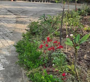 Dimapur Casa | JUNGJUNG HOMESTAY