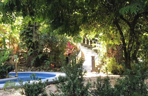 Playa Tortuga Casa | Jungle beautiful home 10 minutes from gorgeous beaches
