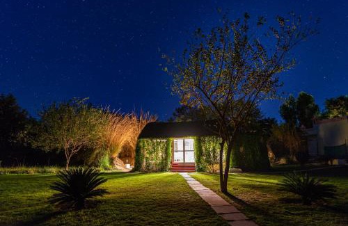 Sawai Madhopur Otro | Jungle Cave Resort