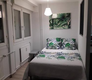Plantieres Queuleu Apartamento | Jungle