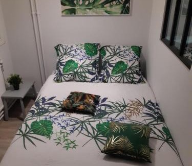 Plantieres Queuleu Apartamento | Jungle