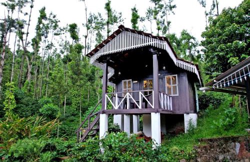 Chikkamagaluru Casa | Jungle Greens Homestay - Water Activities, 150Y Estate, Home Food