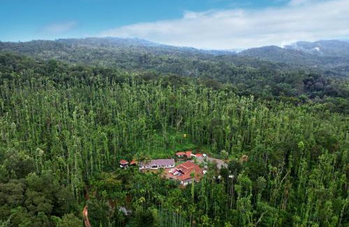 Chikkamagaluru Casa | Jungle Greens Homestay - Water Activities, 150Y Estate, Home Food