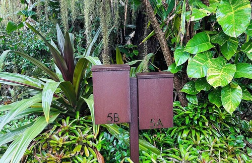 St. Augustine Casa | Jungle House in historic Saint Augustine Florida